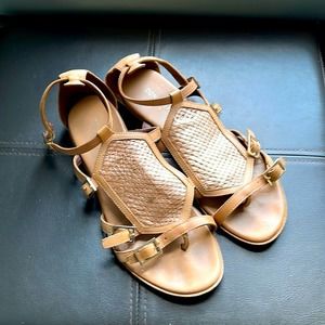 Donald J Pliner | Tan Leather Snakeskin Gladiator Sandals size 6.5